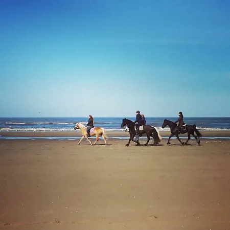Дом отдыха Holiday Duinkroft *